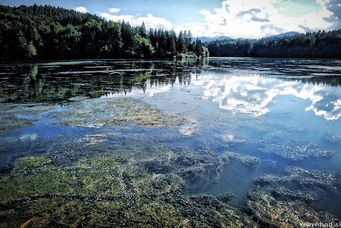 jezera_bohinjsko_blejsko_gradisko_zbiljsko_006