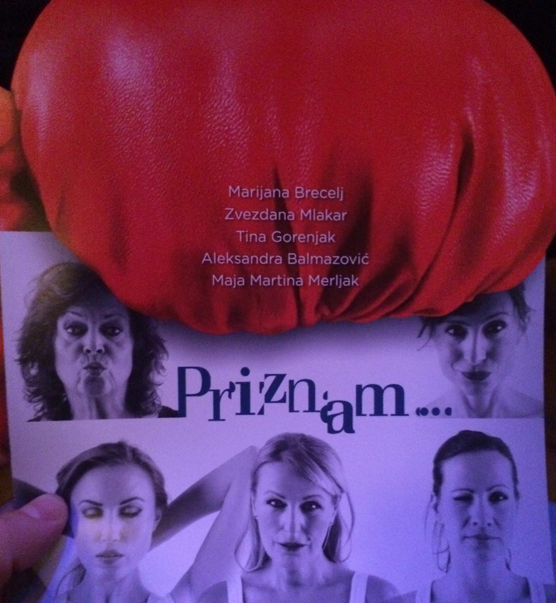 priznam Aleksandra Balmazović, Maja Martina Merljak, Tina Gorenjak, Marijana Brecelj, Zvezdana Mlakar