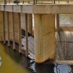 Fotopis po jezerih 16