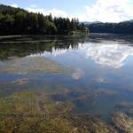 Fotopis po jezerih 11