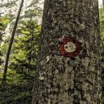 Fotopis Jezersko-Ledine-Ceska koca 2