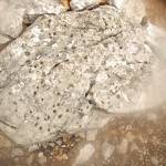 Fotopis Jezersko-Ledine-Ceska koca 4