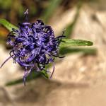 Fotopis Jezersko-Ledine-Ceska koca 9