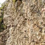 Fotopis Jezersko-Ledine-Ceska koca 17