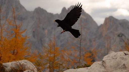 Fotopis - sprehod na Sleme 14