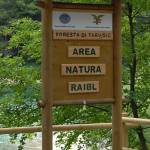 Od Predela do Kluž 2