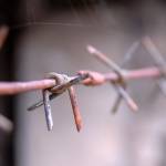 Od Predela do Kluž 4