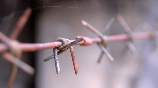 Od Predela do Kluž 4