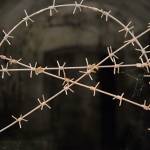 Od Predela do Kluž 6