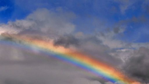 Po dežju posije sonce 3