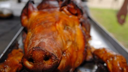 Webmaster piknik, v znamenju prasca, odlično uspel 1