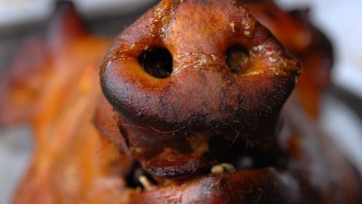 Webmaster piknik, v znamenju prasca, odlično uspel 6