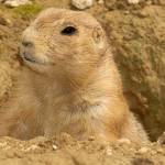 Fotopis Zoo Zagreb 2