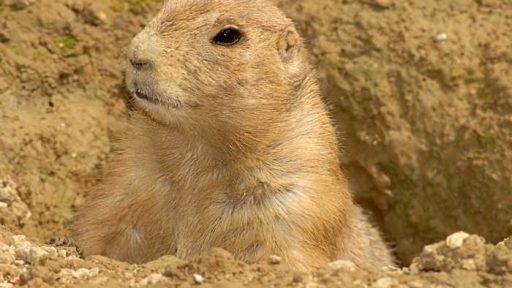 Fotopis Zoo Zagreb 2