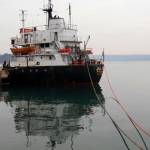 Fotografije detajlov s sprehoda od Portorož do Pirana 2