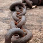 Fotografije detajlov s sprehoda od Portorož do Pirana 4