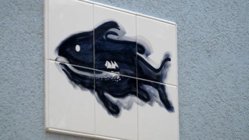 Fotografije detajlov s sprehoda od Portorož do Pirana  12