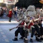 Karneval Reka 2007 14