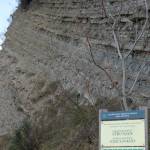 Strunjan z druge strani 2