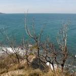 Strunjan z druge strani 8