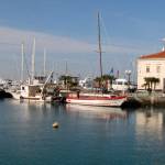 Koper - fotografije detajlov 2