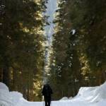 Športni center Pokljuka - smučišče Viševnik - Rudno polje 6