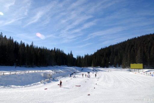 Športni center Pokljuka - smučišče Viševnik - Rudno polje 8