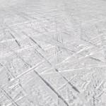 Športni center Pokljuka - smučišče Viševnik - Rudno polje 11