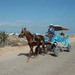 Tunizija - Djerba 2