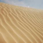 Tunizija - Djerba 16