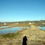 Fotografije Sečoveljskih solin 1