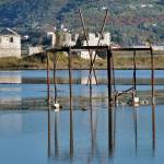 Fotografije Sečoveljskih solin 2