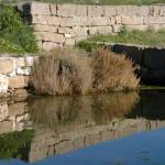 Fotografije Sečoveljskih solin 4