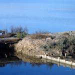 Fotografije Sečoveljskih solin 6