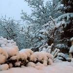 Ni zapadlo pol metra snega 1