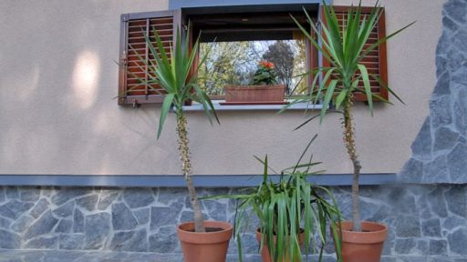 Pomlad prinaša rekreacijo okoli hiše 3