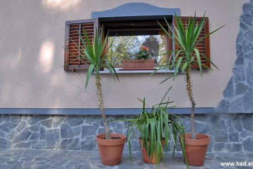 Pomlad prinaša rekreacijo okoli hiše 3