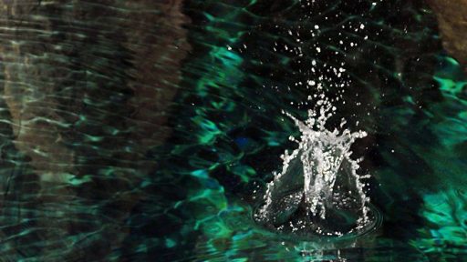 Fotopis cez Vrsic 10