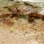 Fotopis cez Vrsic 13