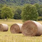 Fotopis cez Vrsic 22