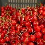 Fotopis cez Vrsic 34