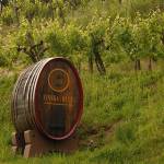 Fotopis cez Vrsic 36