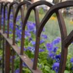 Verona - fotografije detajlov 12