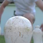 Obletnica in piknik 1