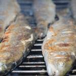 Obletnica in piknik 3