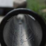 Obletnica in piknik 10