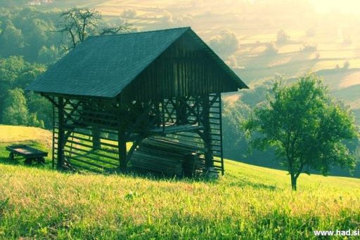 Čemšeniška planina v soboto zjutraj 11