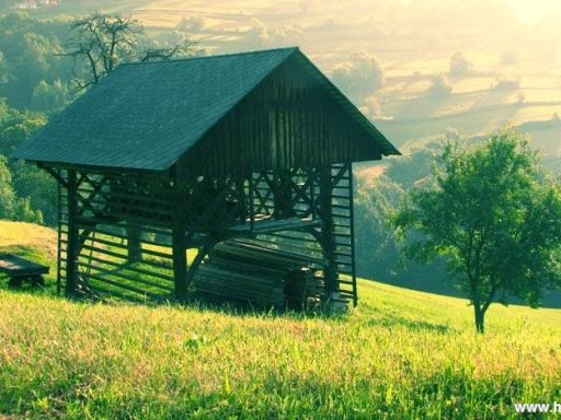 Čemšeniška planina v soboto zjutraj 11