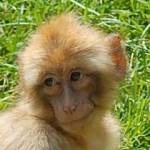 Parco Natura Viva - živalski vrt 1