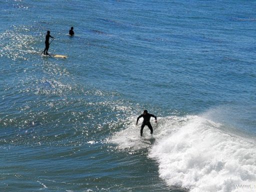 Santa Cruz Photos 9